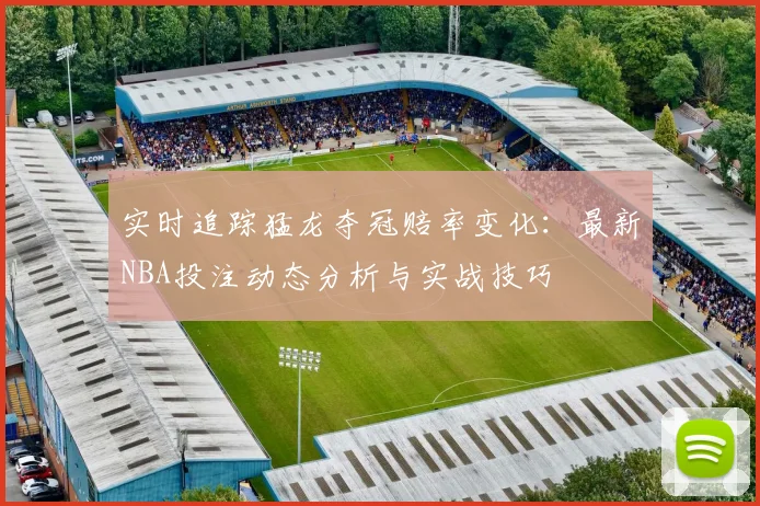 实时追踪猛龙夺冠赔率变化：最新NBA投注动态分析与实战技巧
