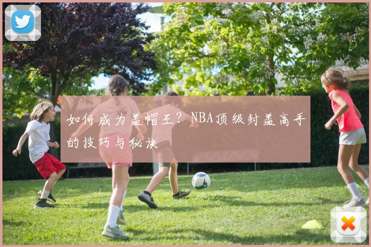 如何成为盖帽王?NBA顶级封盖高手的技巧与秘诀