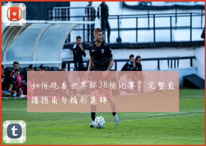 如何观看世界杯38场比赛?完整直播指南与精彩集锦
