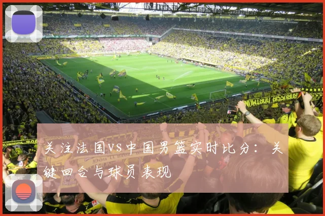 关注法国vs中国男篮实时比分:关键回合与球员表现