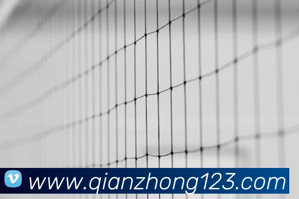 奖项2